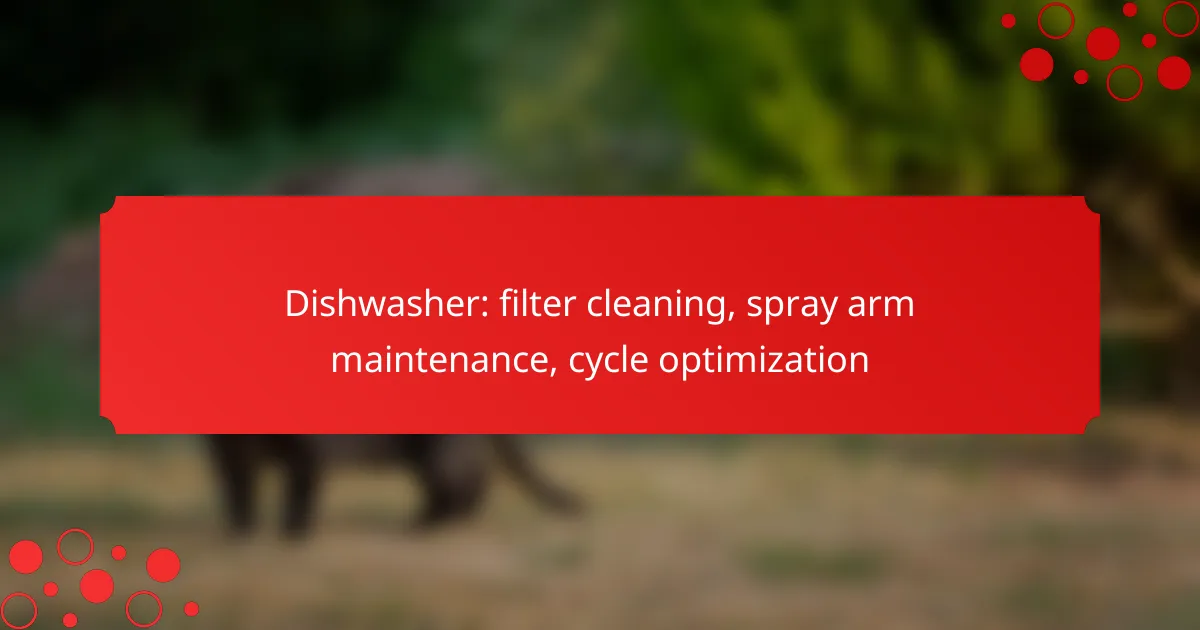 Dishwasher: filter cleaning, spray arm maintenance, cycle optimization