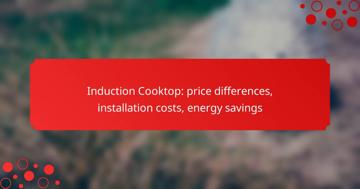 Induction Cooktop: price differences, installation costs, energy savings