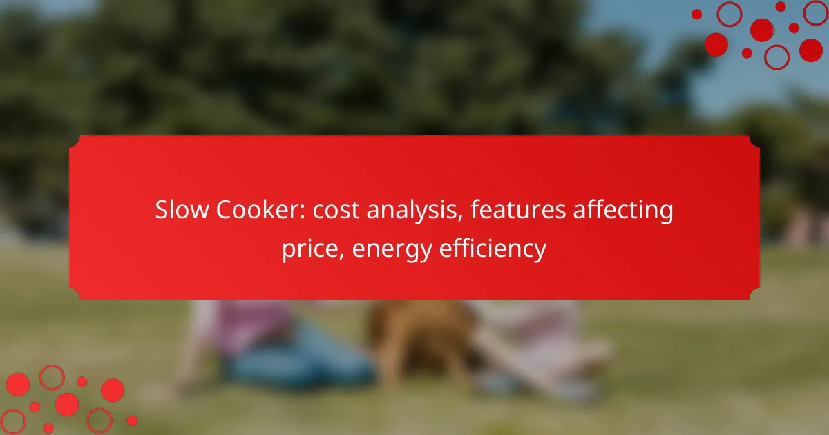 Slow Cooker: cost analysis, features affecting price, energy efficiency