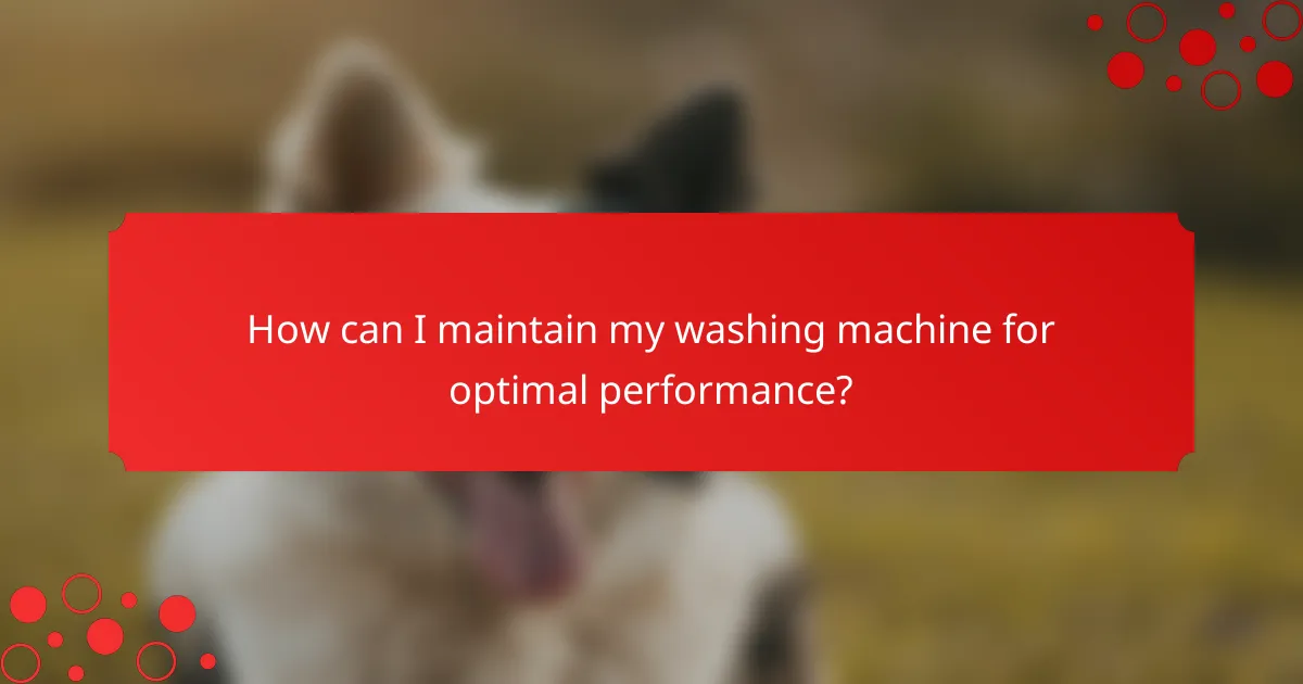 How can I maintain my washing machine for optimal performance?