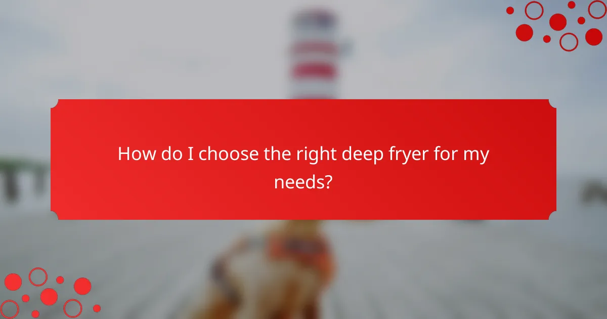 How do I choose the right deep fryer for my needs?