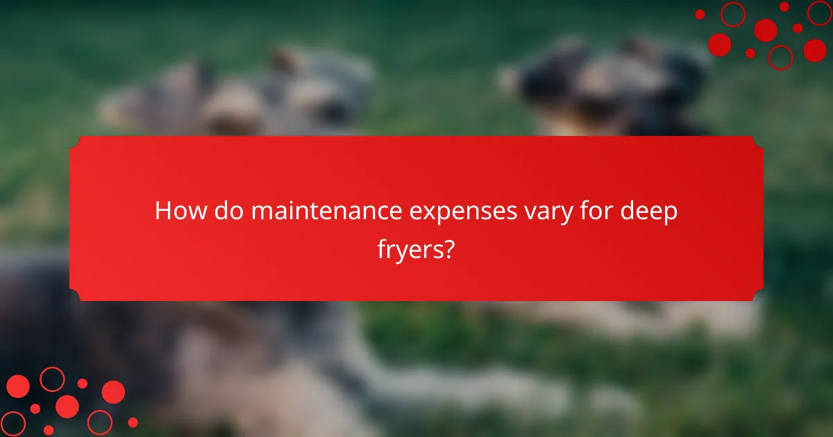 How do maintenance expenses vary for deep fryers?