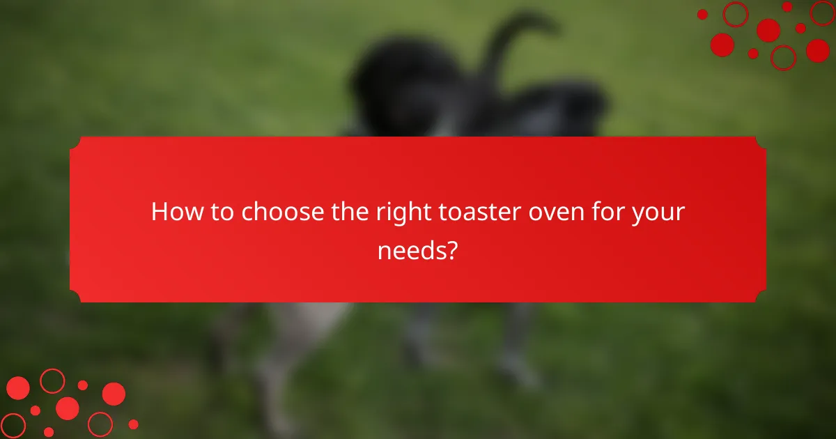 How to choose the right toaster oven for your needs?