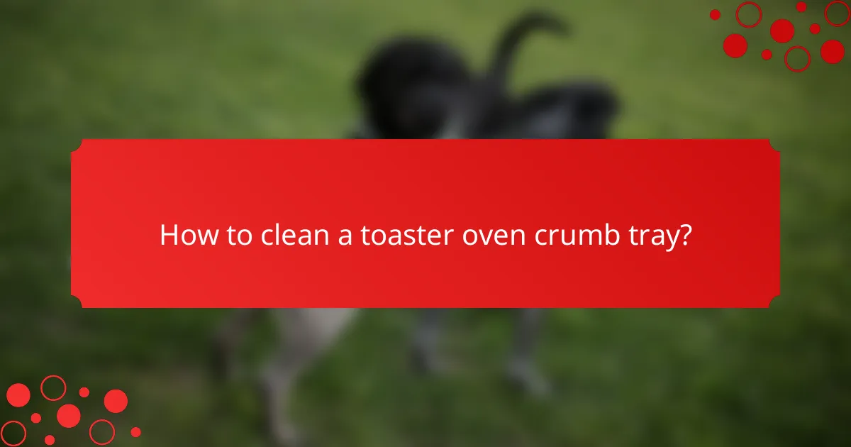 How to clean a toaster oven crumb tray?