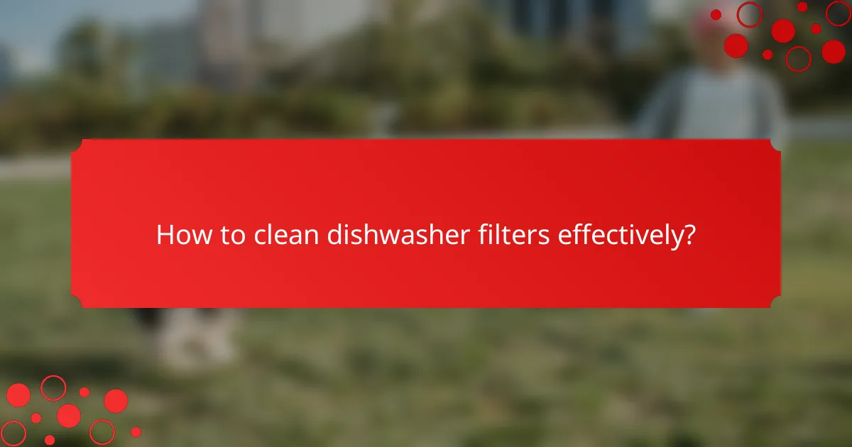 How to clean dishwasher filters effectively?