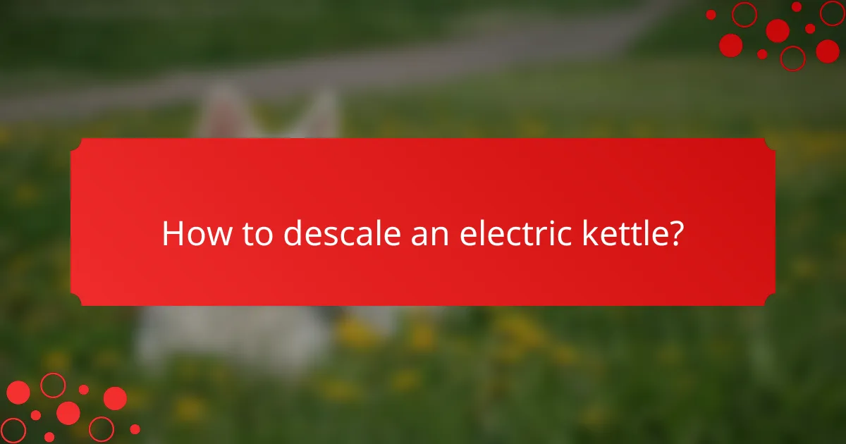 How to descale an electric kettle?