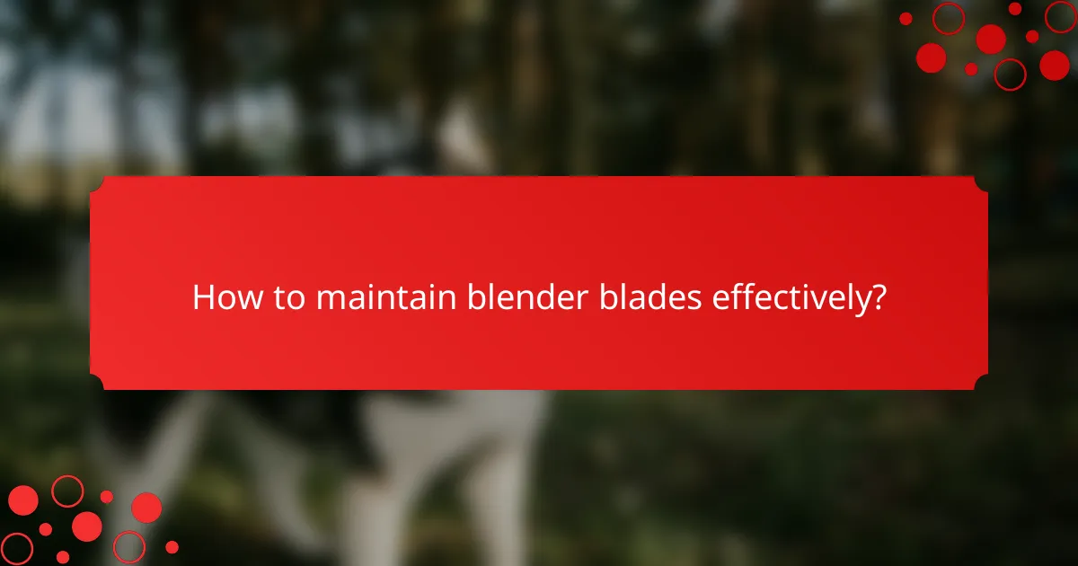 How to maintain blender blades effectively?