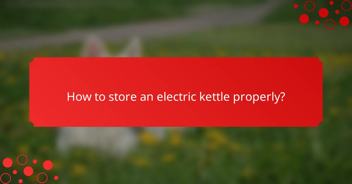 How to store an electric kettle properly?