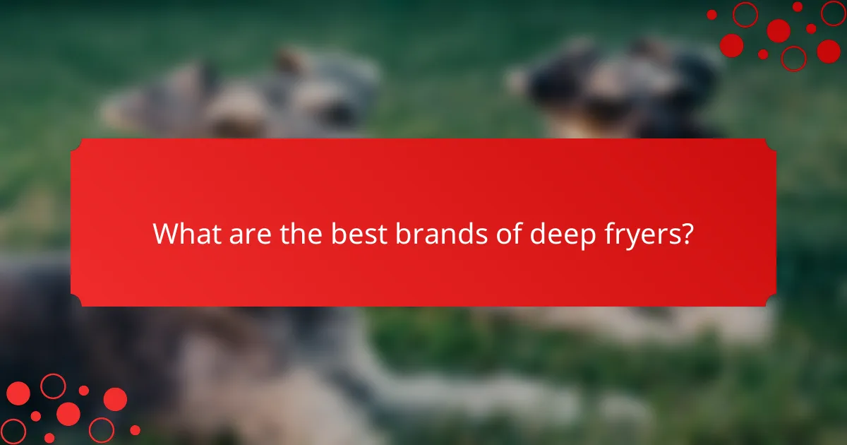 What are the best brands of deep fryers?