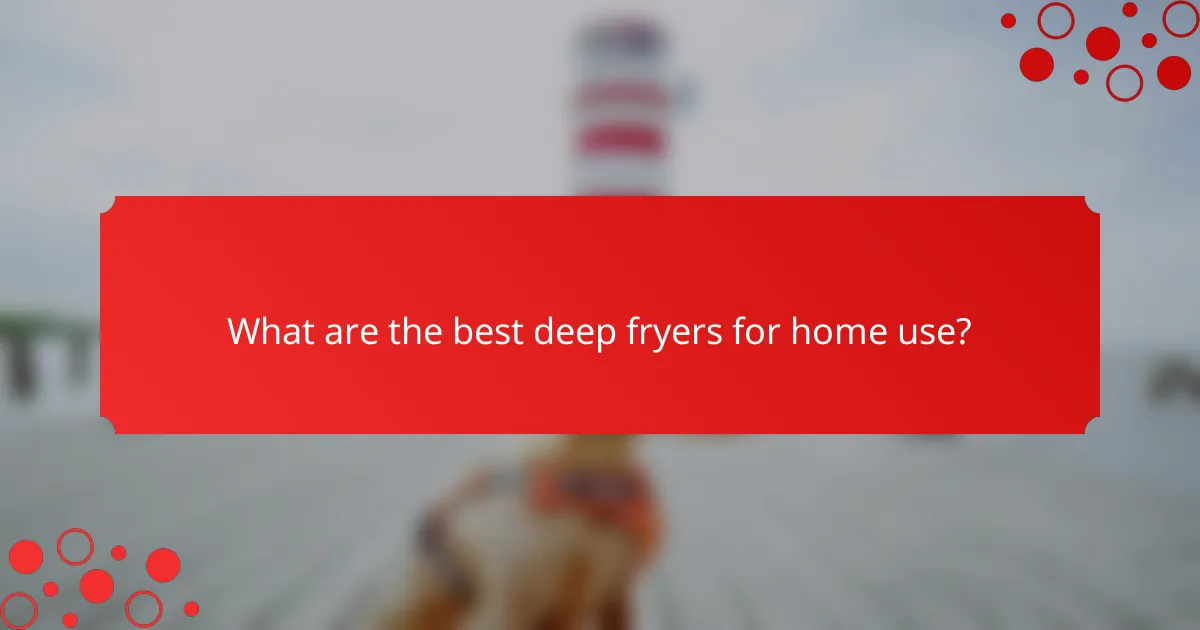 What are the best deep fryers for home use?