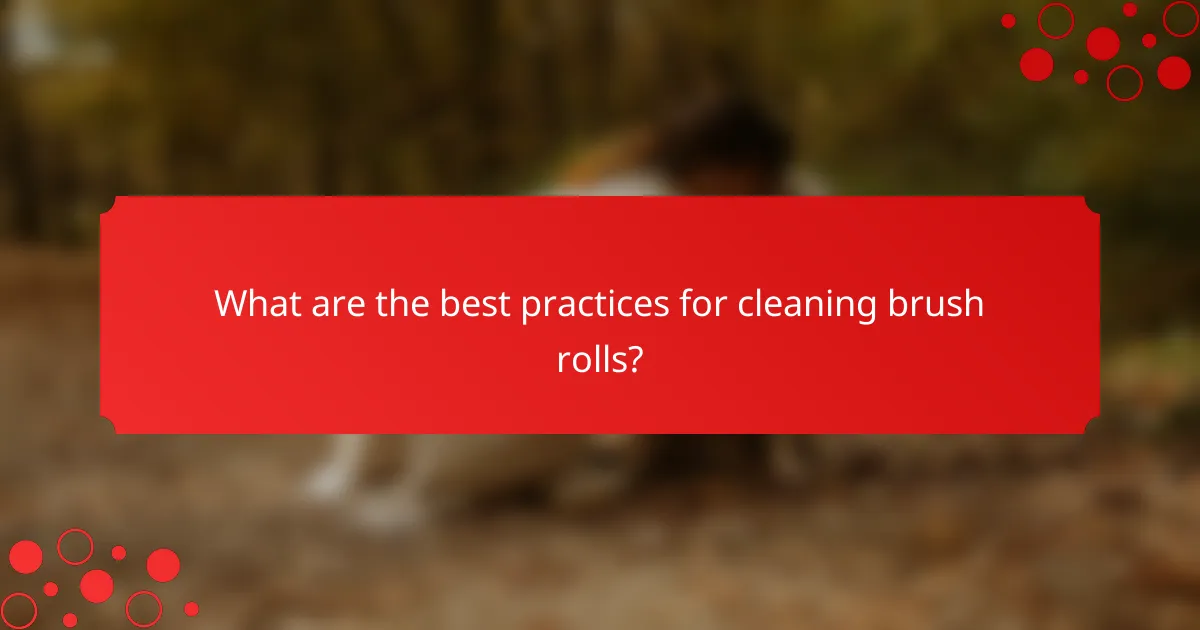 What are the best practices for cleaning brush rolls?