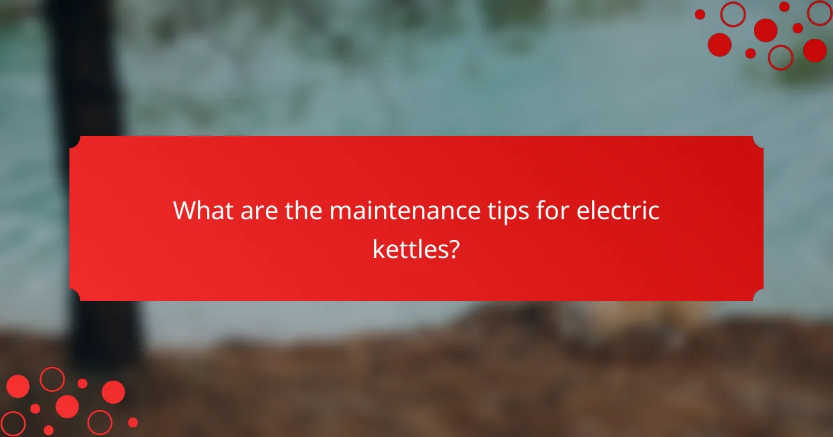What are the maintenance tips for electric kettles?