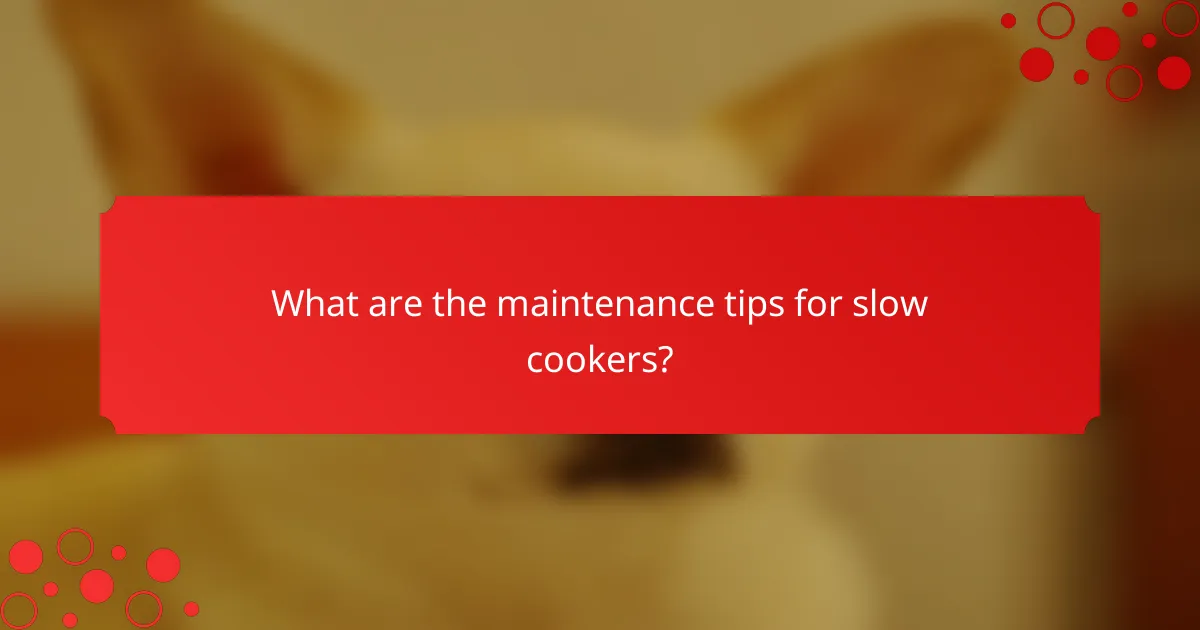 What are the maintenance tips for slow cookers?