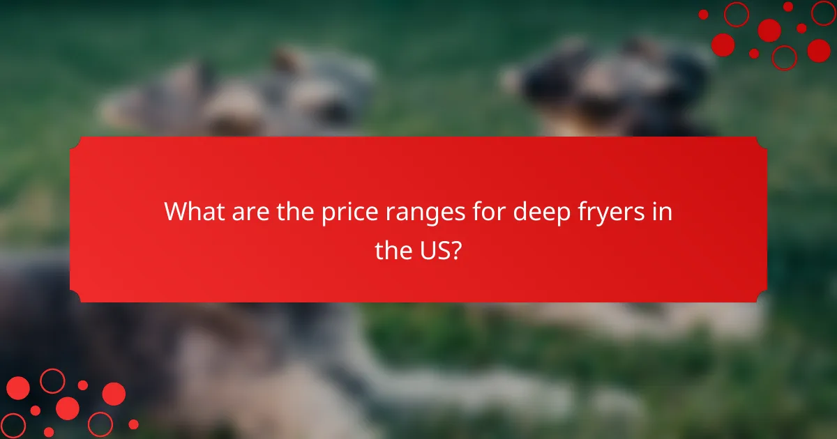 What are the price ranges for deep fryers in the US?