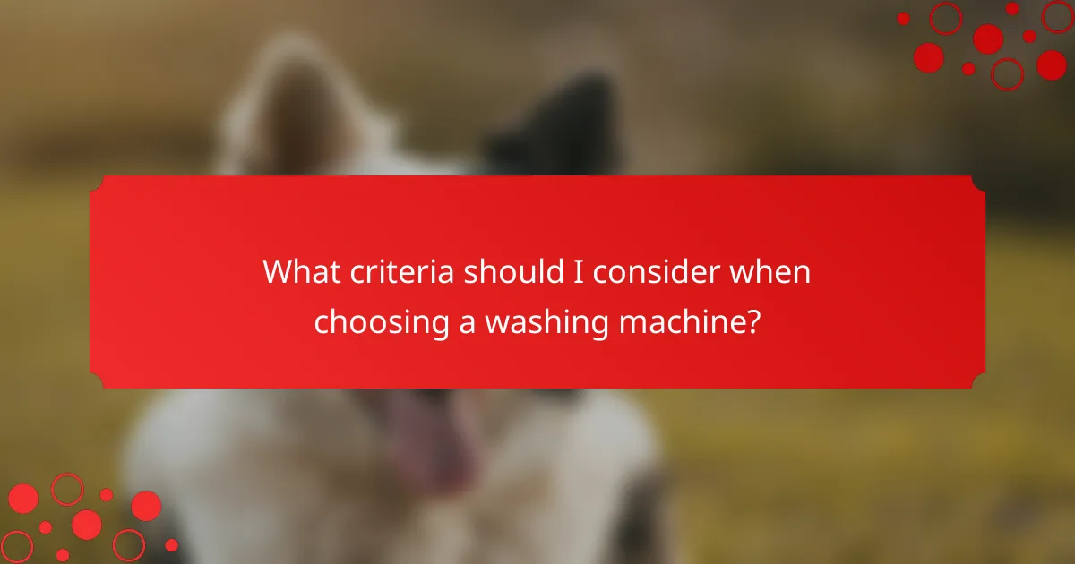 What criteria should I consider when choosing a washing machine?