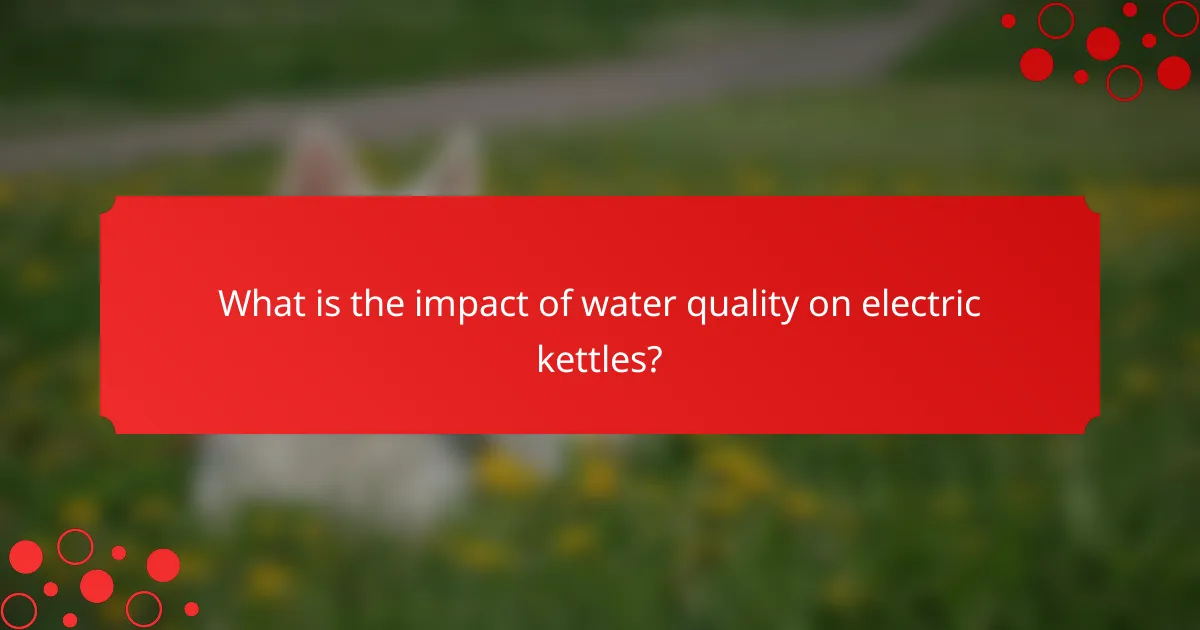 What is the impact of water quality on electric kettles?