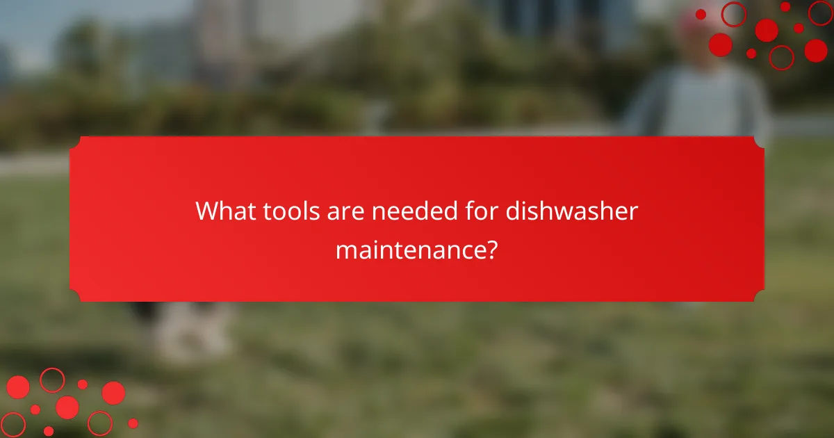 What tools are needed for dishwasher maintenance?