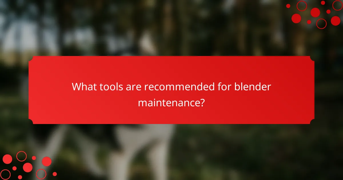 What tools are recommended for blender maintenance?